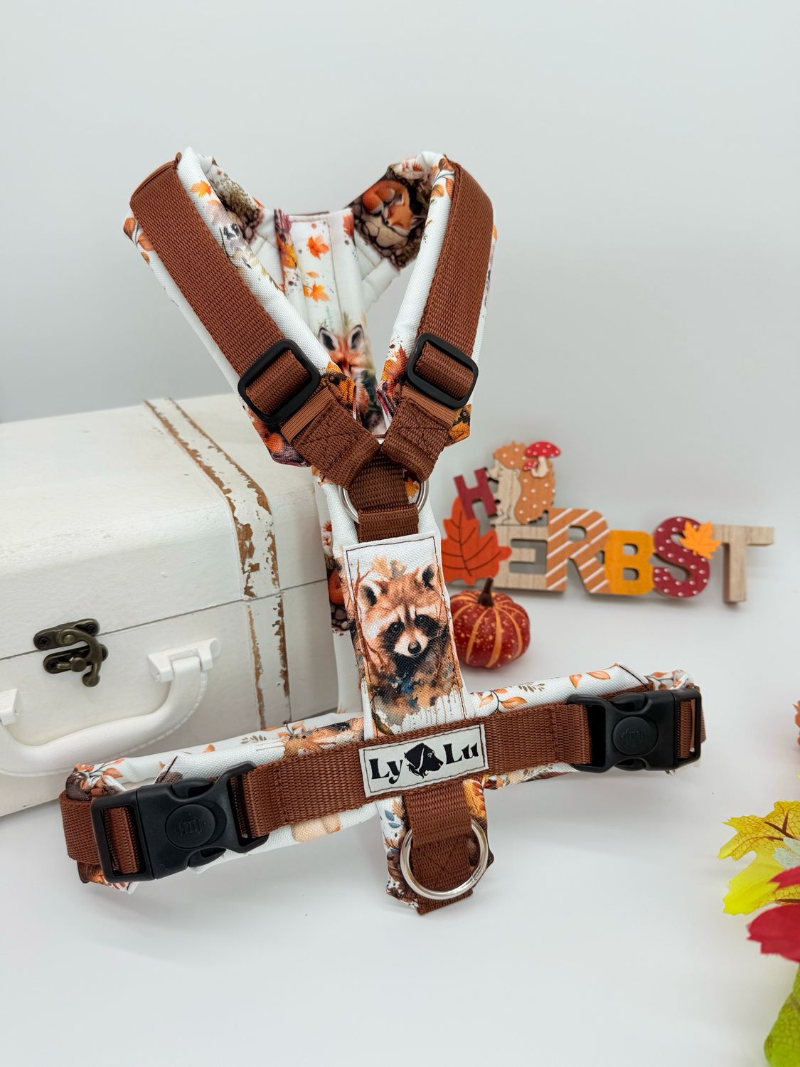 Hundegeschirr Basic Gr. M Waschbär