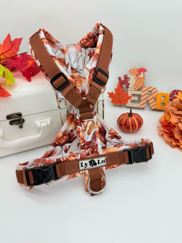 Hundegeschirr Basic Gr. S Golden Garden Hundegeschirr Basic Gr. S Golden Garden