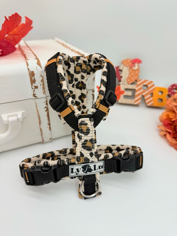 Hundegeschirr Basic Gr. XXS Cord Leo Hundegeschirr Basic Gr. XXS Cord Leo