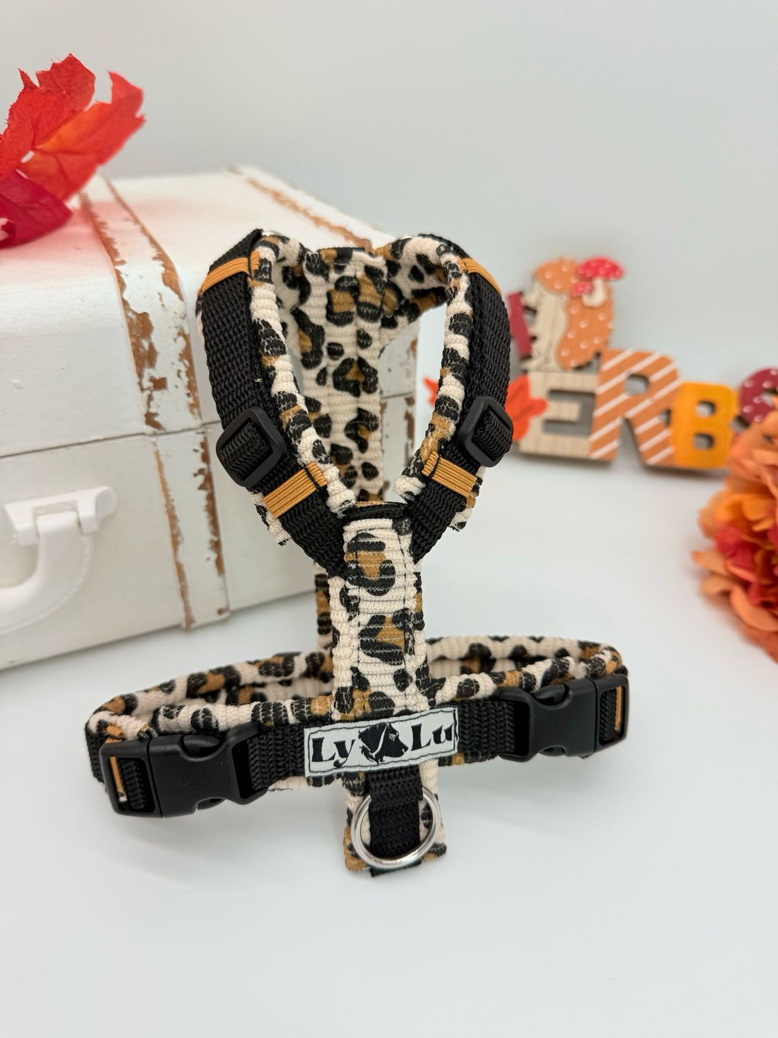 Hundegeschirr Basic Gr. XXS Cord Leo