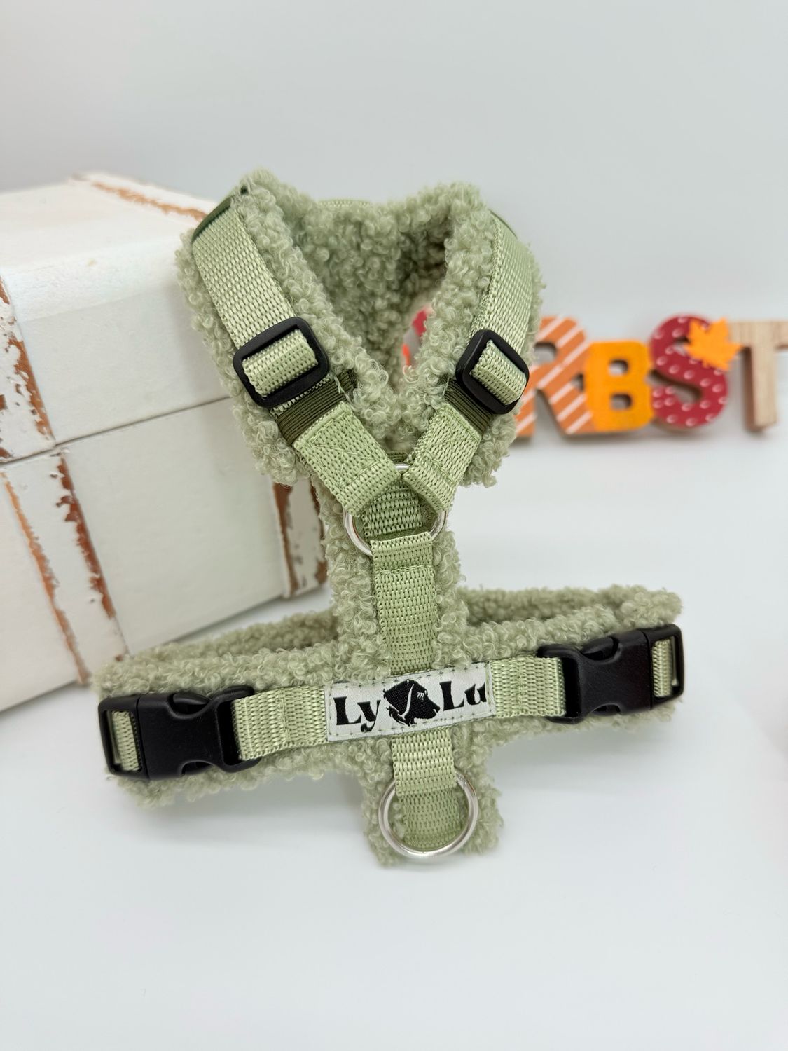 Hundegeschirr Basic Teddy Uni