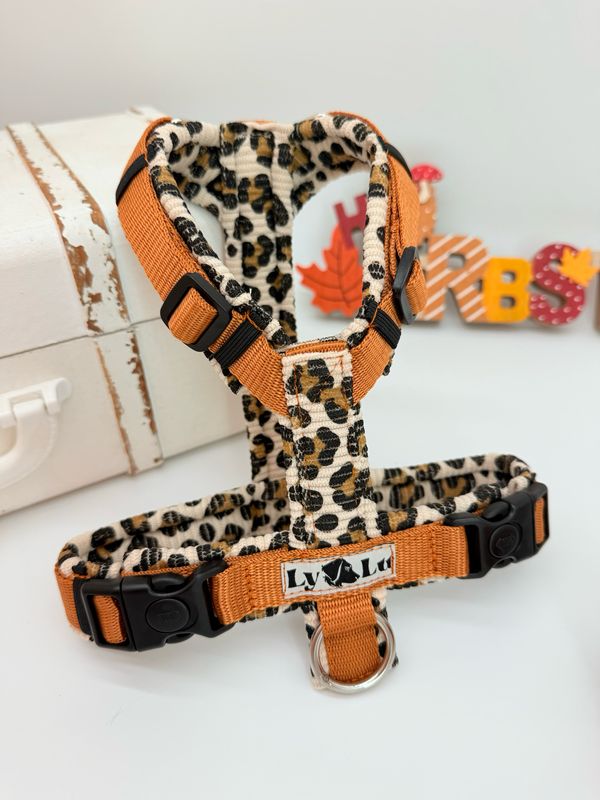 Hundegeschirr Basic Gr. XS Cord Leo Hundegeschirr Basic Gr. XS Cord Leo