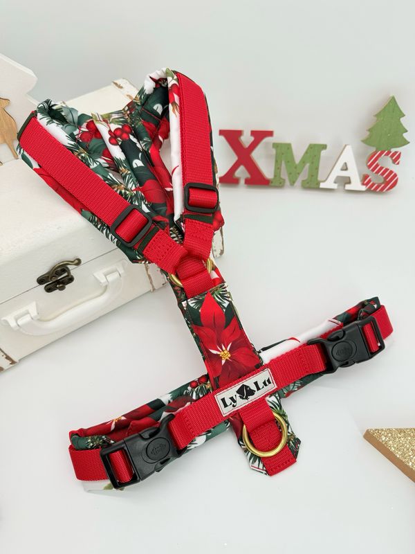 Basic Gr. M Poinsetta Basic Gr. M Poinsetta