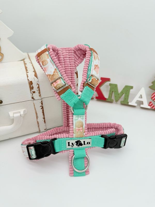 Premium Gr. XS Gingerbread Premium Gr. XS Gingerbread