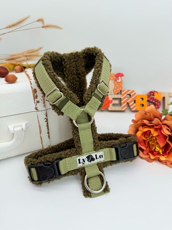 Hundegeschirr Basic Gr. XS Teddy Oliv Hundegeschirr Basic Gr. XS Teddy Oliv