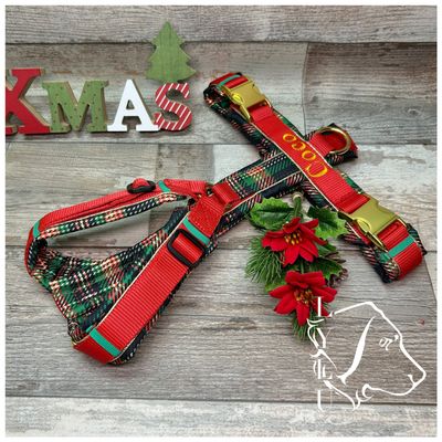 Winter & XMas Hundegeschirre ❄️