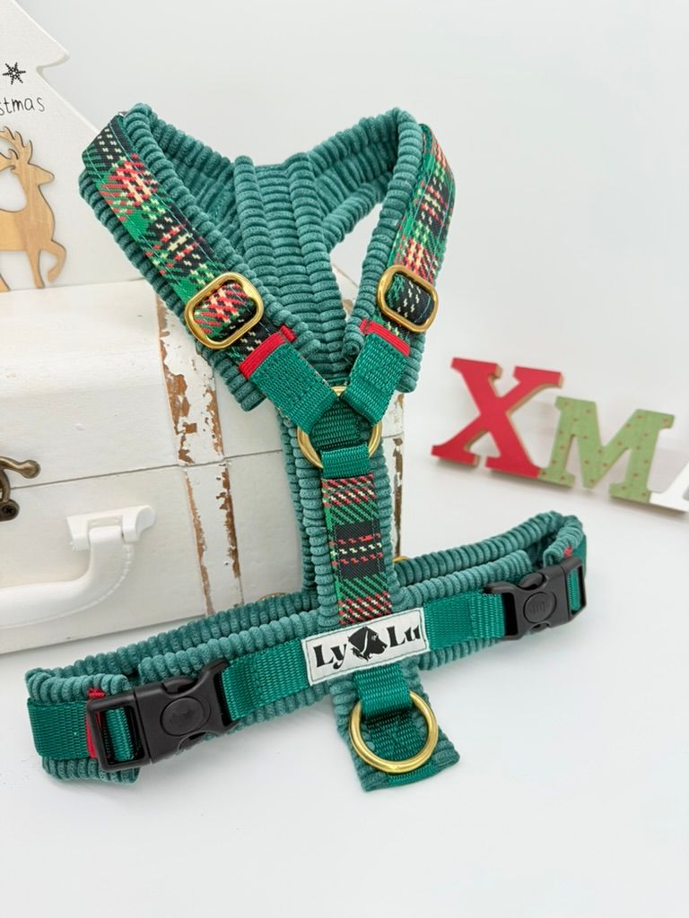 Premium Gr. S Karo grün