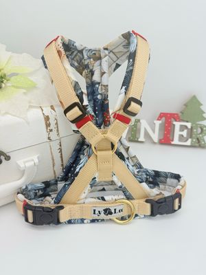 Hundegeschirre Basic X Gr. S Sahara / Eisblume