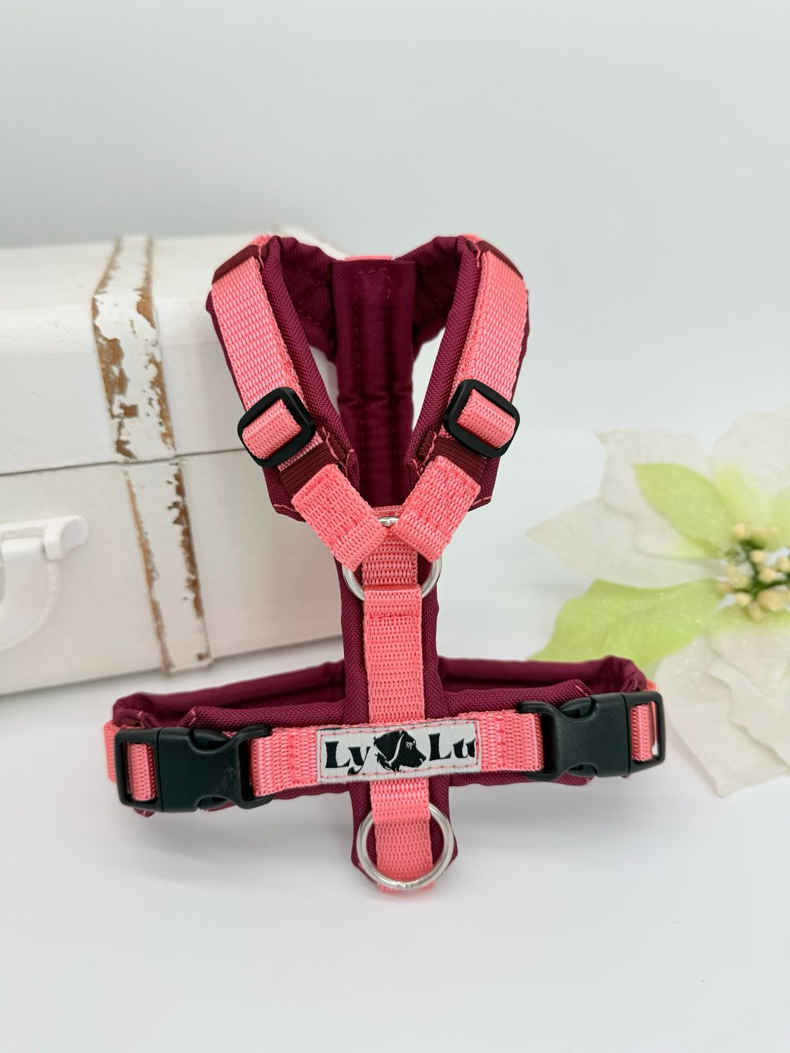 Hundegeschirr designen - Basic