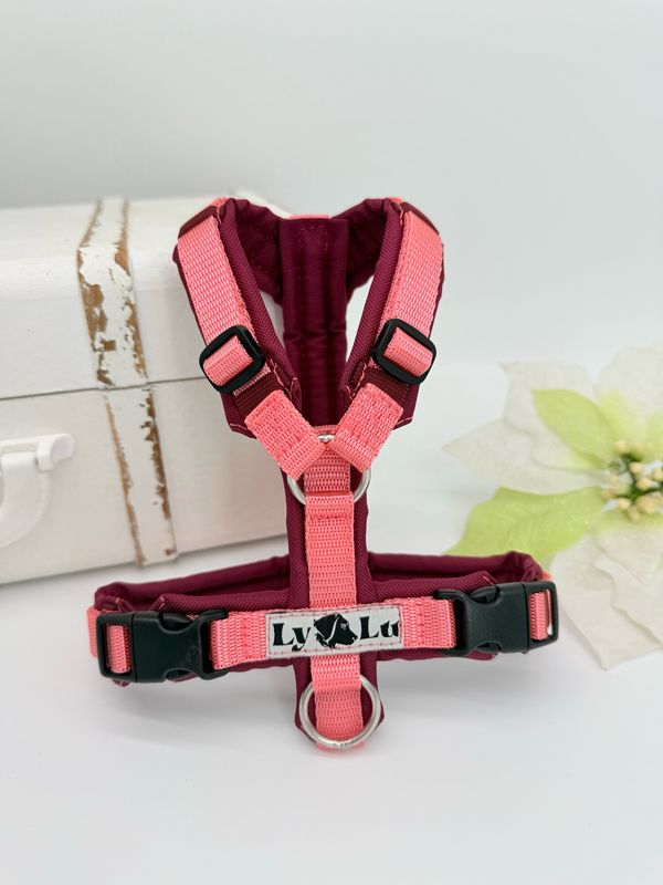 Hundegeschirr designen - Basic