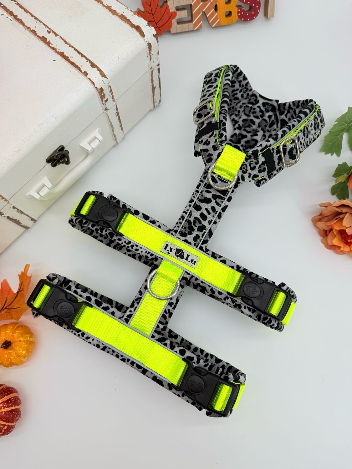 Sicherheitsgeschirr designen - Premium Plus