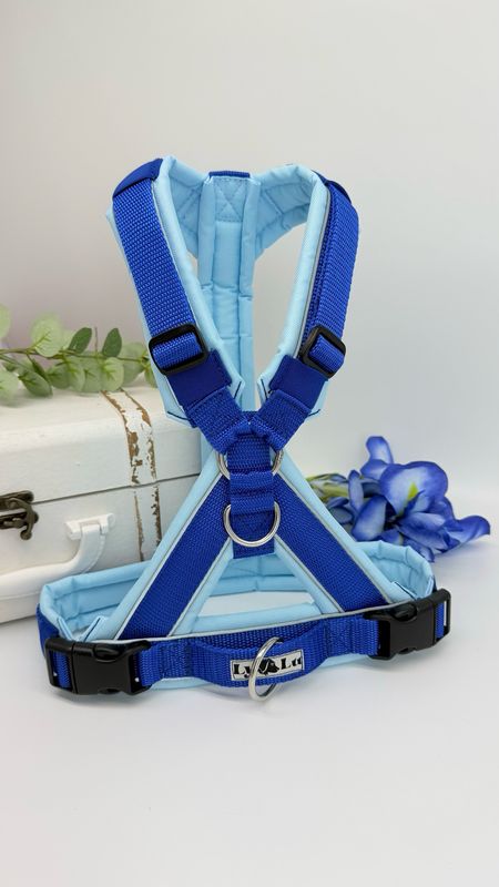 Hundegeschirr designen - Basic X Hundegeschirr designen - Basic X