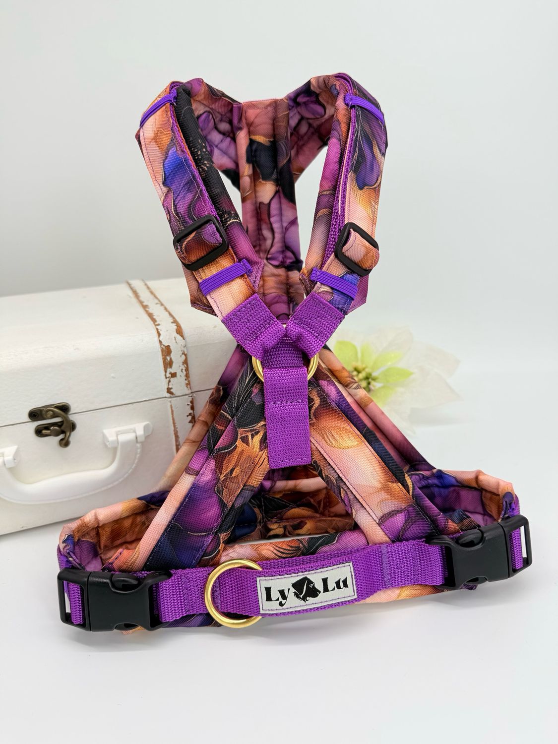 Hundegeschirr designen - Premium X