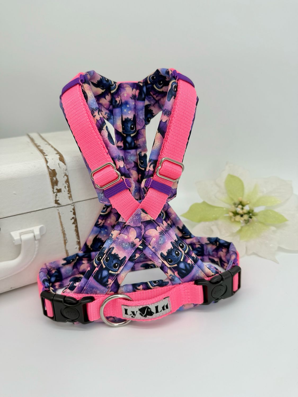 Hundegeschirr Basic X Gr. XS/S Sweet Dragon