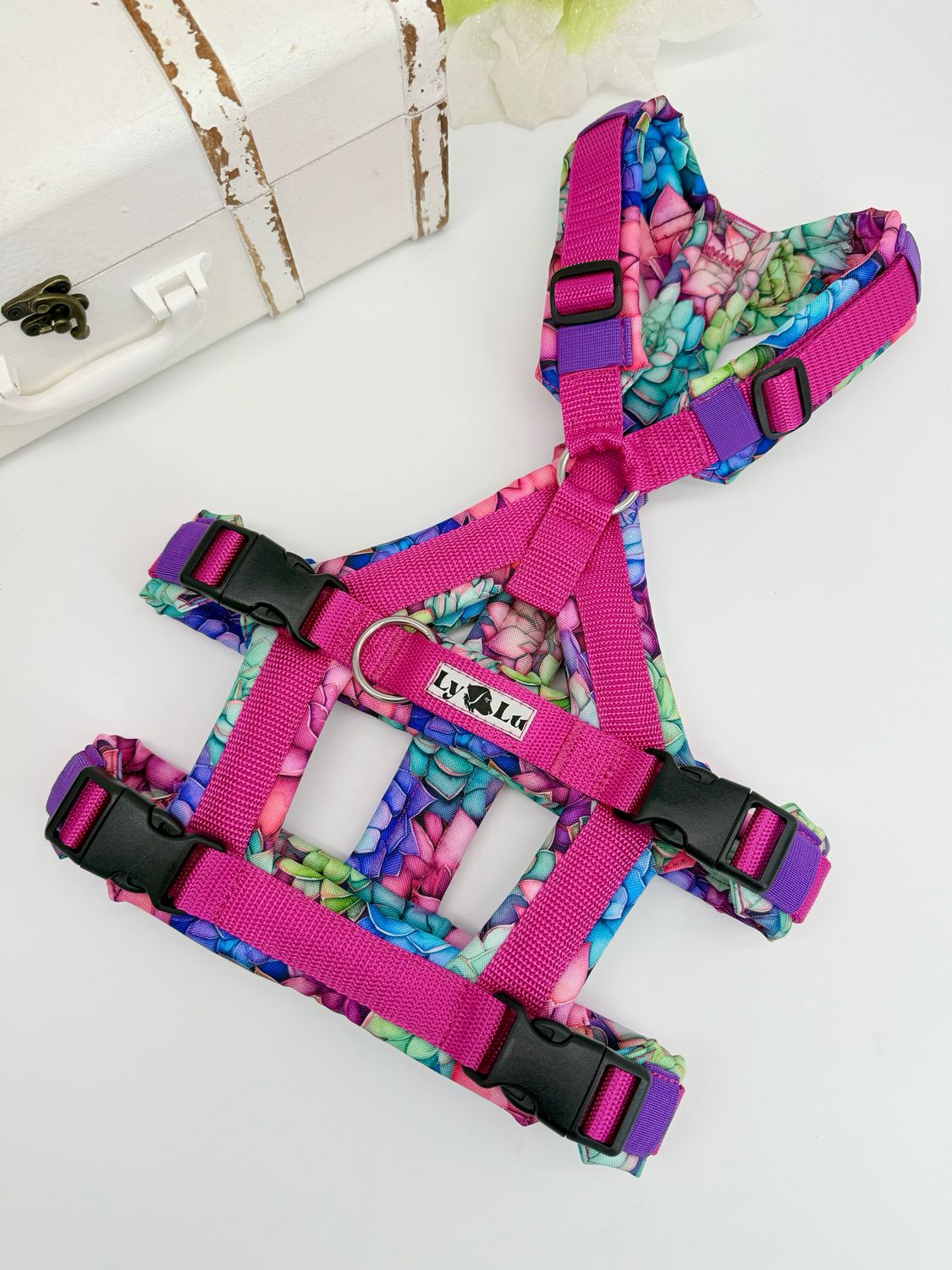 Sicherheitsgeschirr designen - Basic Plus X