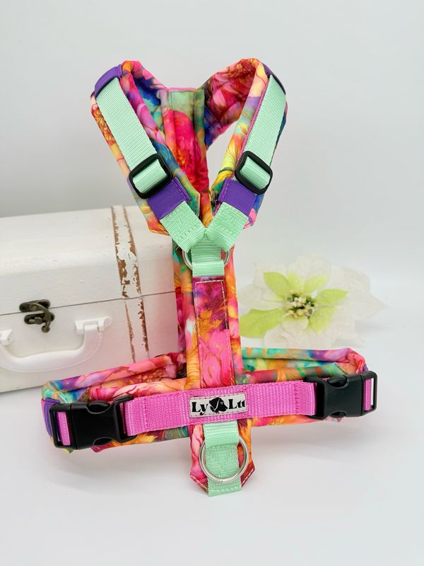 Hundegeschirr Basic Gr. M