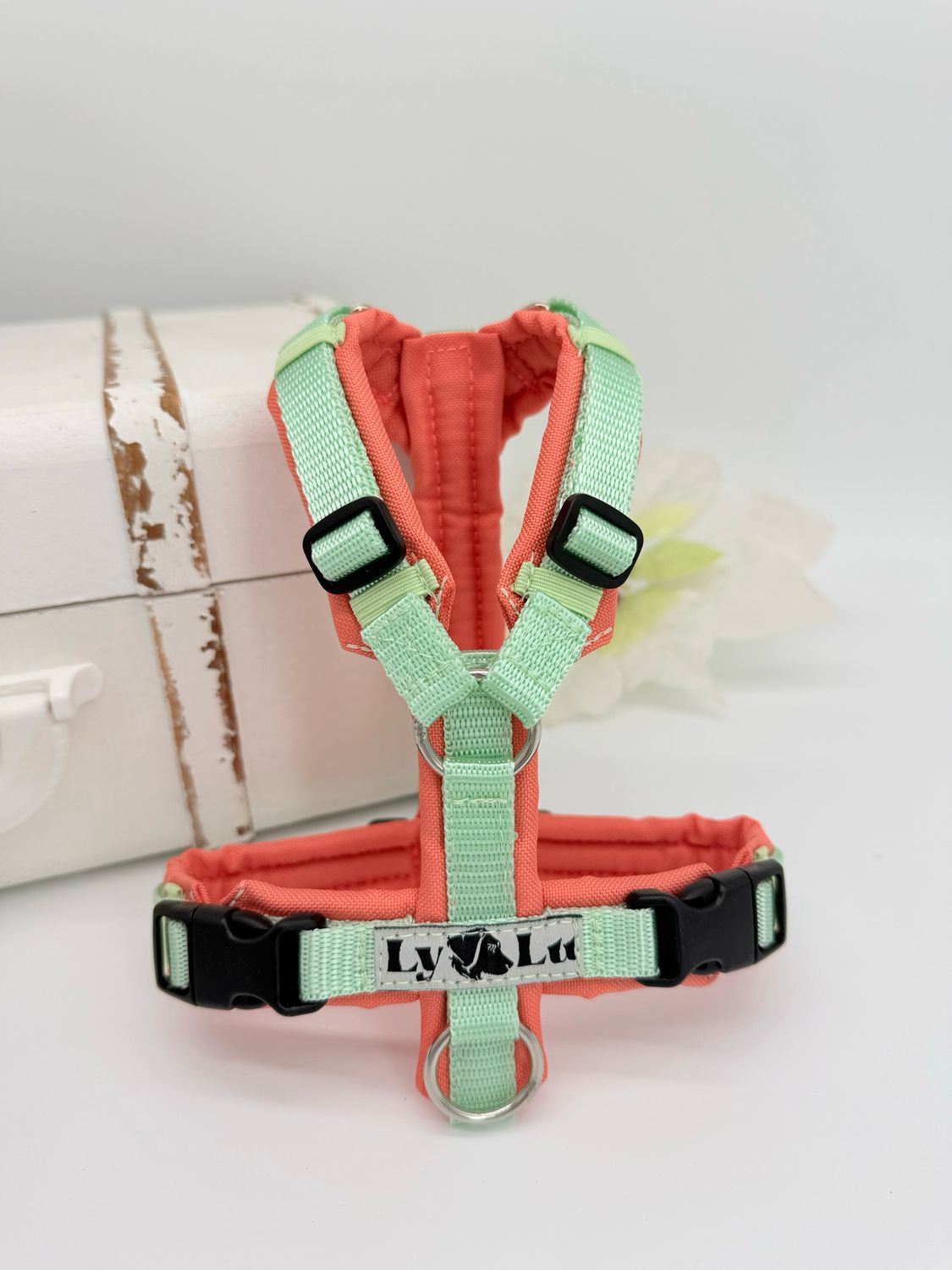 Hundegeschirr Basic Gr. XXS