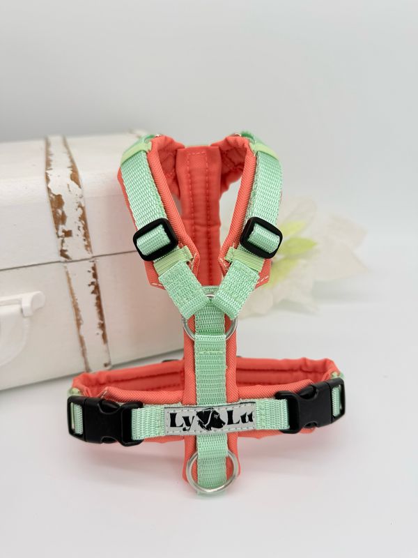 Hundegeschirr Basic Gr. XXS