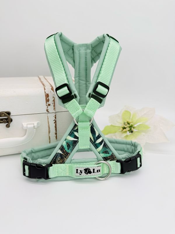 Hundegeschirr Basic X Gr. S Pastellmint / Sunset Preez