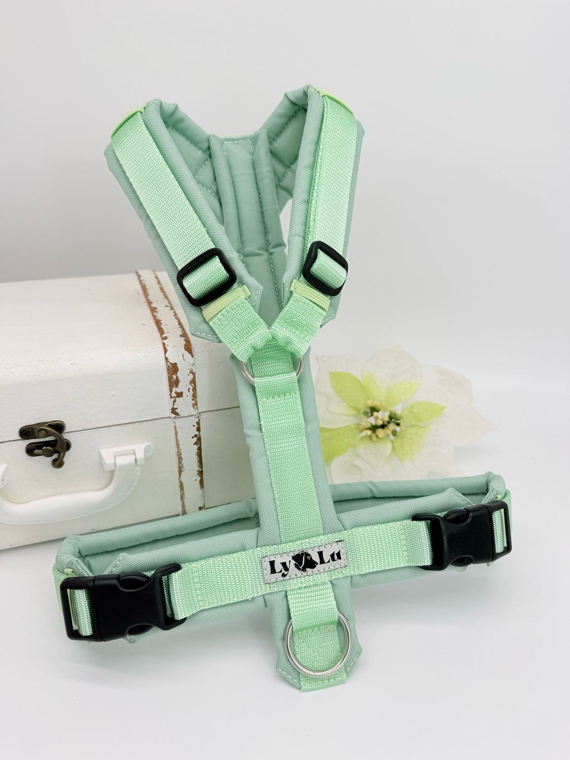 Hundegeschirr Basic Gr. M Pastellmint / Pastellmint