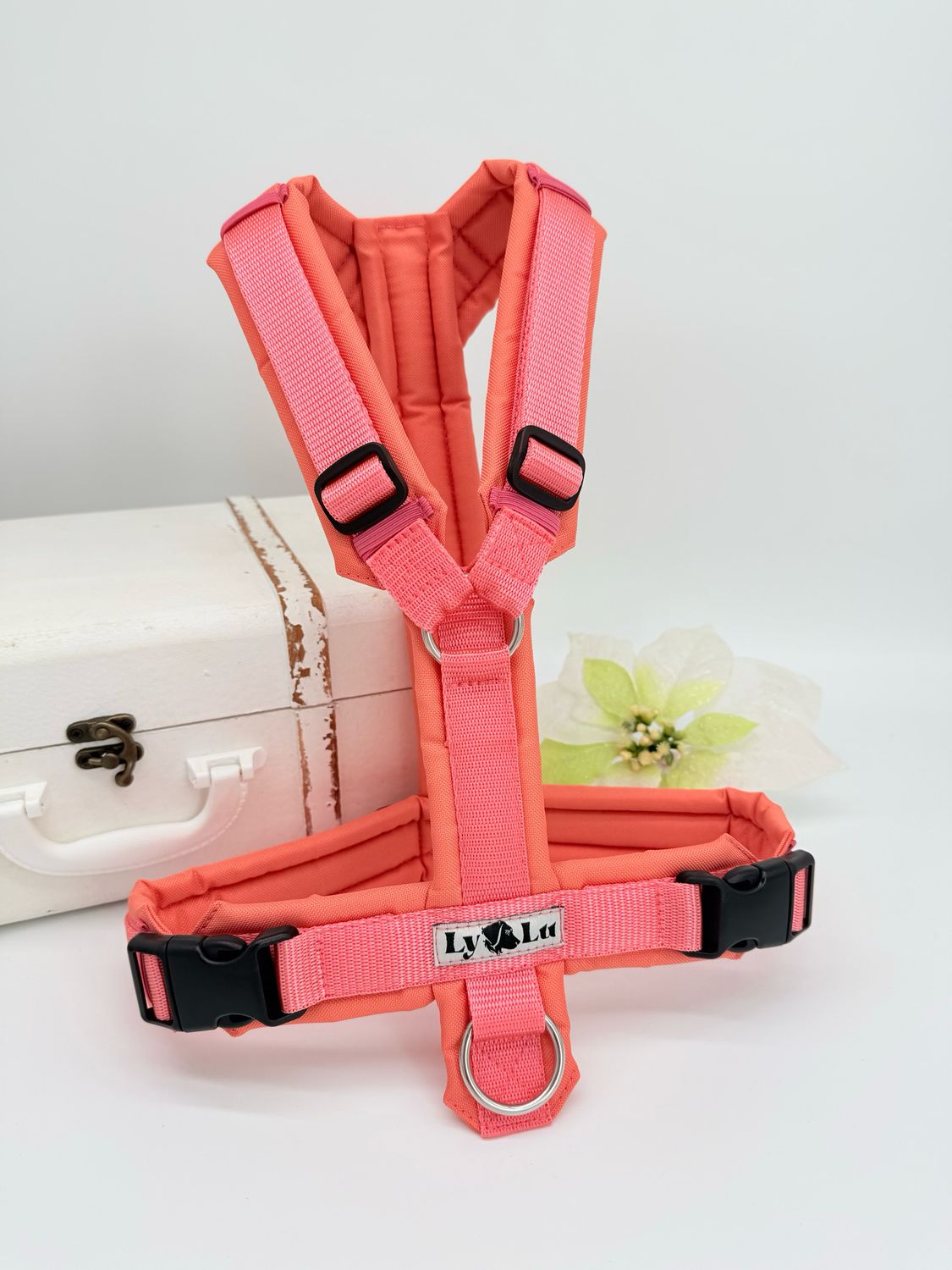 Hundegeschirr Basic  Lachs