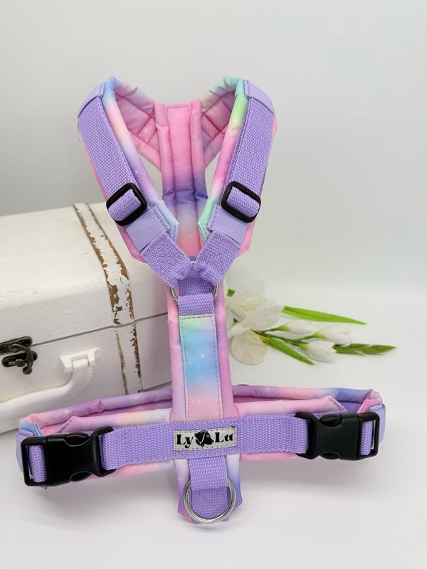 Hundegeschirr Basic Gr. S, M, L Polarlicht