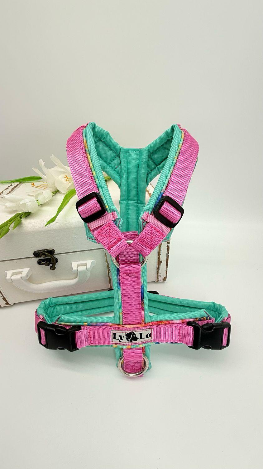 Hundegeschirr Basic Gr. S Hellmauve / Mint Hundegeschirr Basic Gr. S Hellmauve / Mint