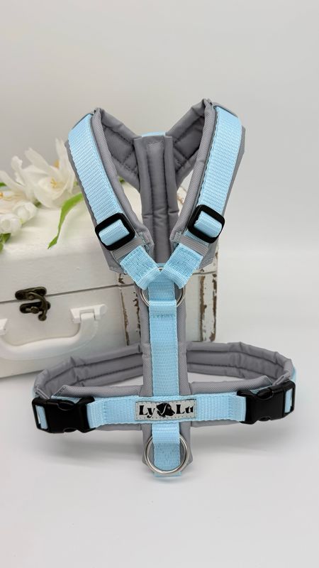 Hundegeschirr Basic Gr. S, Pastellblau / Grau