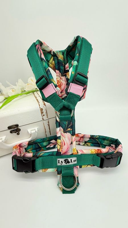 Hundegeschirr Basic Gr. M, Tannengrün / Peonie Green