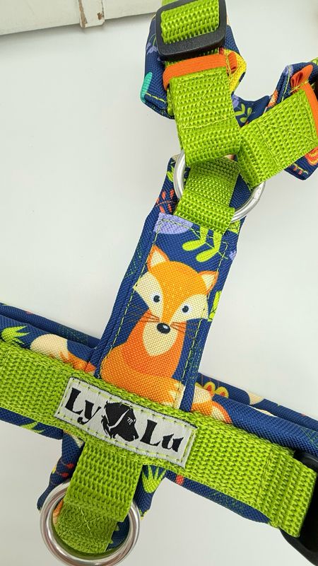 Hundegeschirr Basic Gr. S, Pistazie / Foxtastic