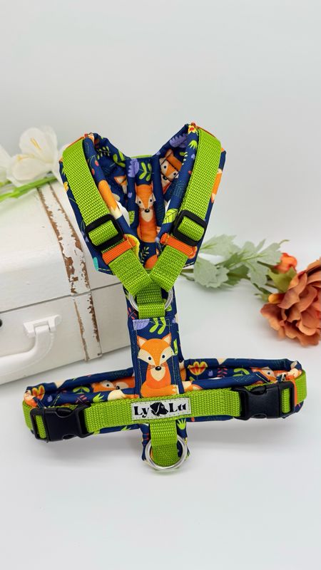 Hundegeschirr Basic Gr. S, Pistazie / Foxtastic Hundegeschirr Basic Gr. S, Pistazie / Foxtastic