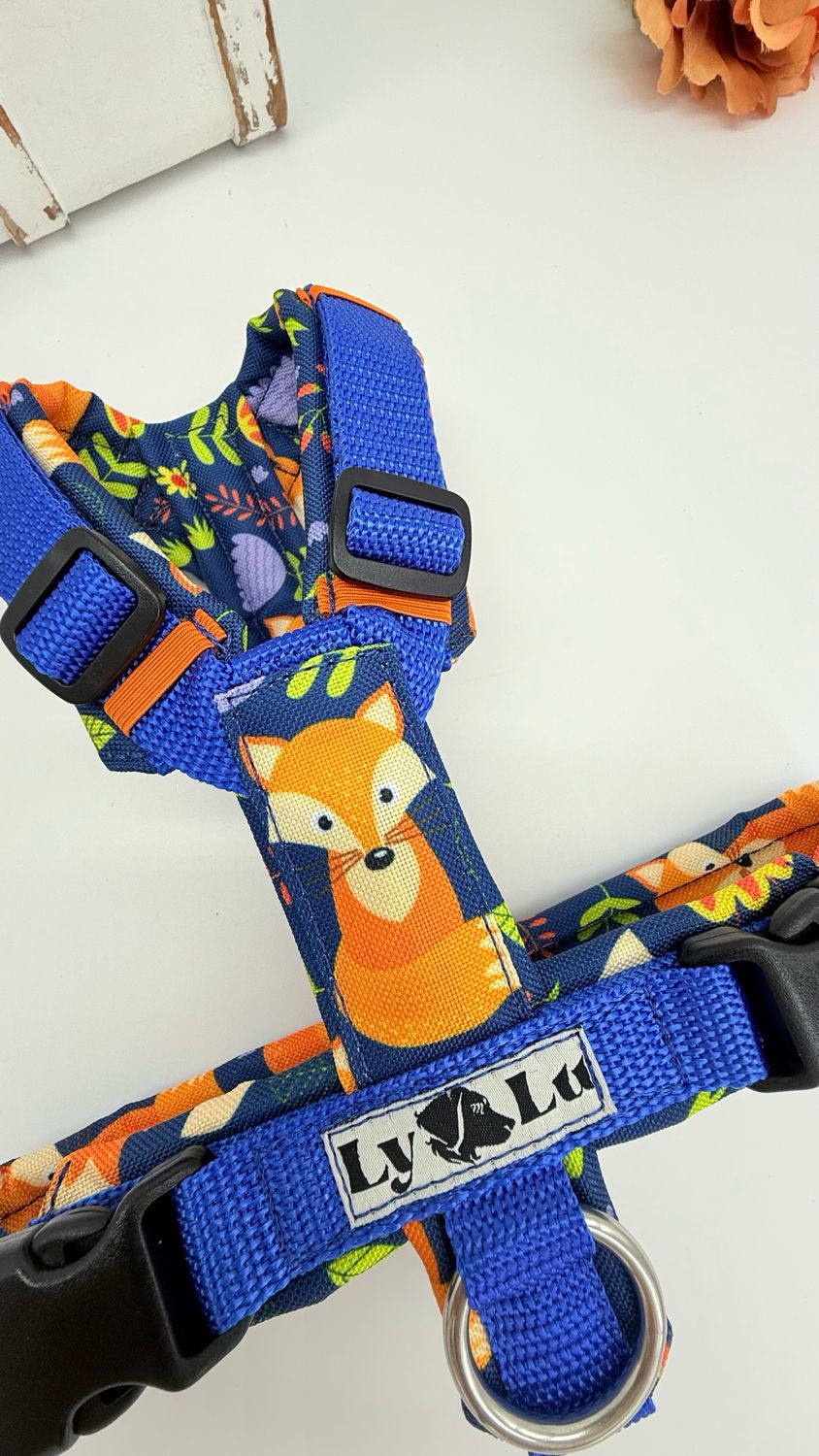 Hundegeschirr Basic Gr. XS, Königsblau / Foxtastic