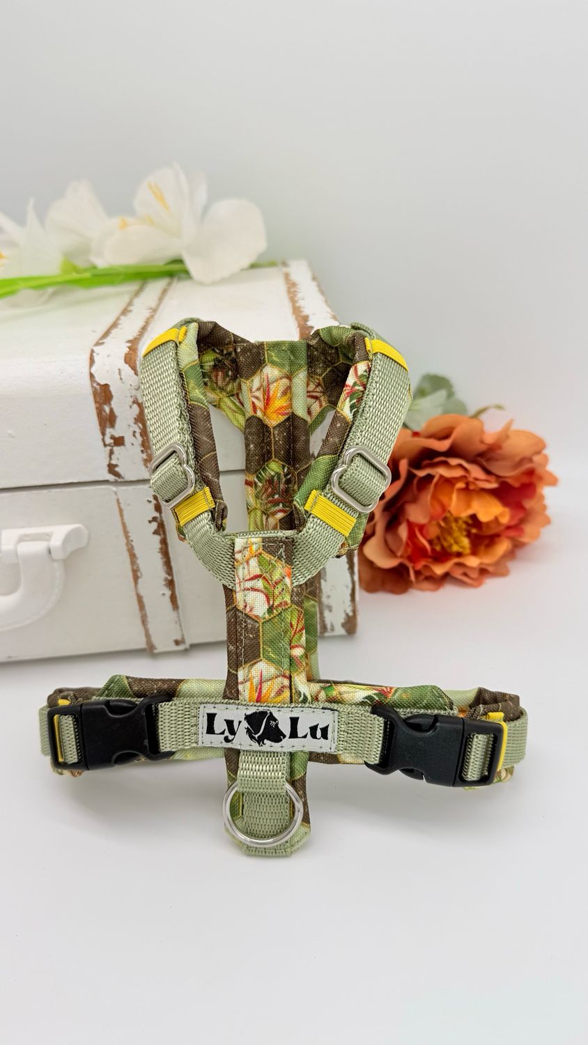 Hundegeschirr Basic Gr. XXS, Pastelloliv / Wabe Oliv Hundegeschirr Basic Gr. XXS, Pastelloliv / Wabe Oliv