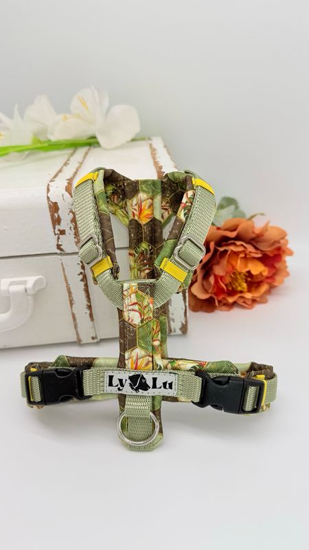 Hundegeschirr Basic Gr. XXS, Pastelloliv / Wabe Oliv