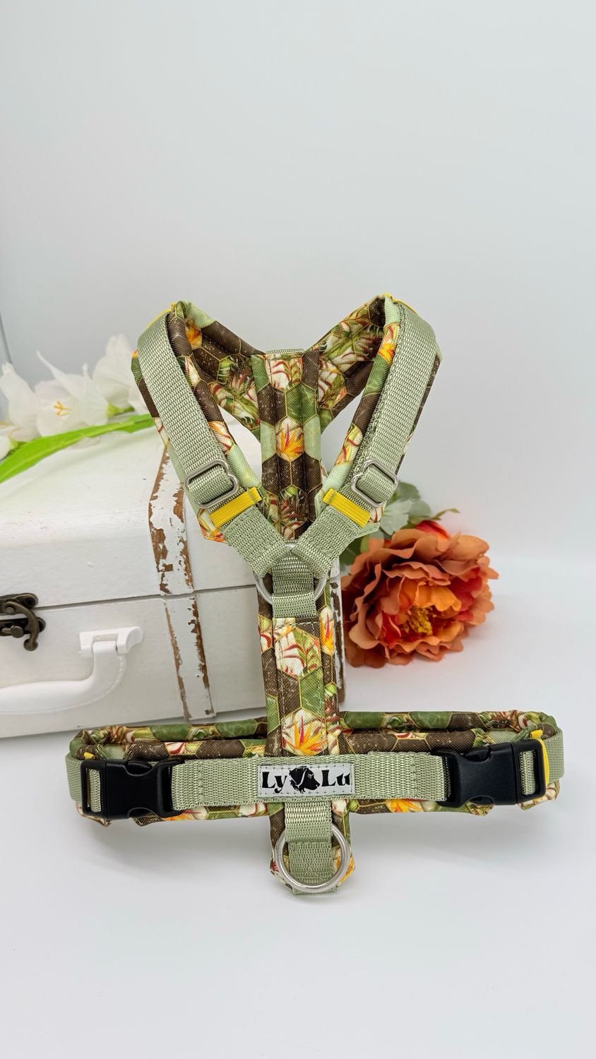 Hundegeschirr Basic Gr. S, Pastelloliv / Wabe Oliv