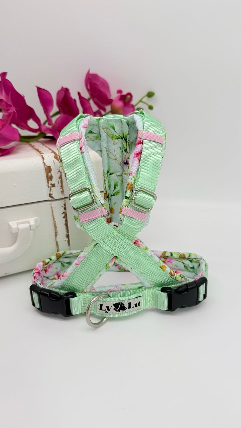 Hundegeschirr Basic X Gr. XS, Pastellmint / Spring Whispers