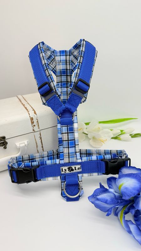 Hundegeschirr Basic Gr. M, Königsblau / Karo Blau
