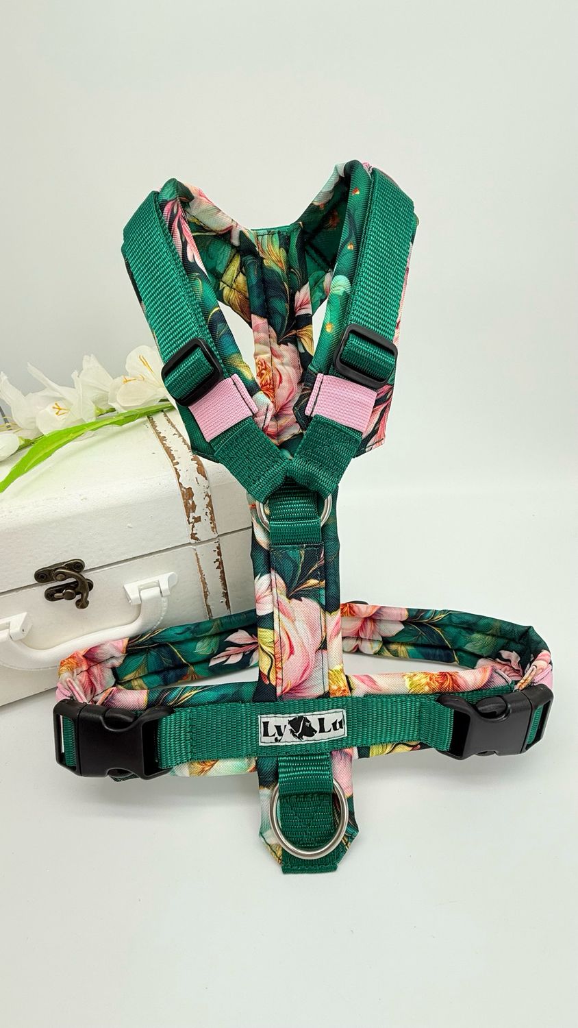 Hundegeschirr Basic, Tannengrün / Peonie Green