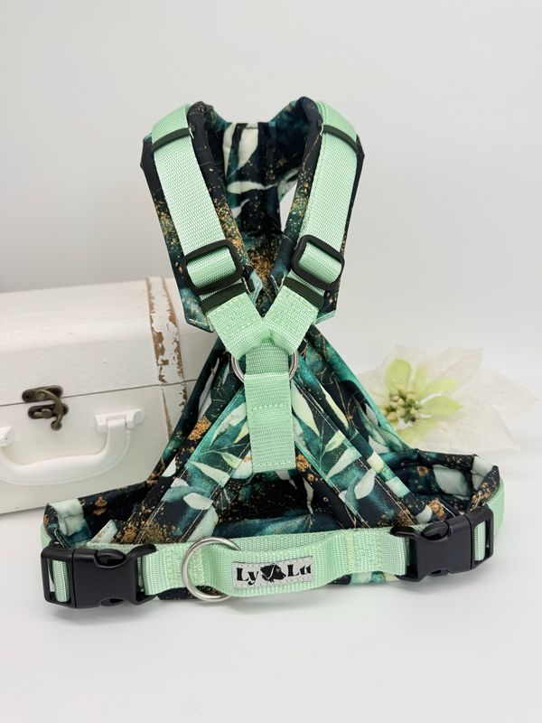 Hundegeschirr Basic X, Pastellmint / Sunset Preez