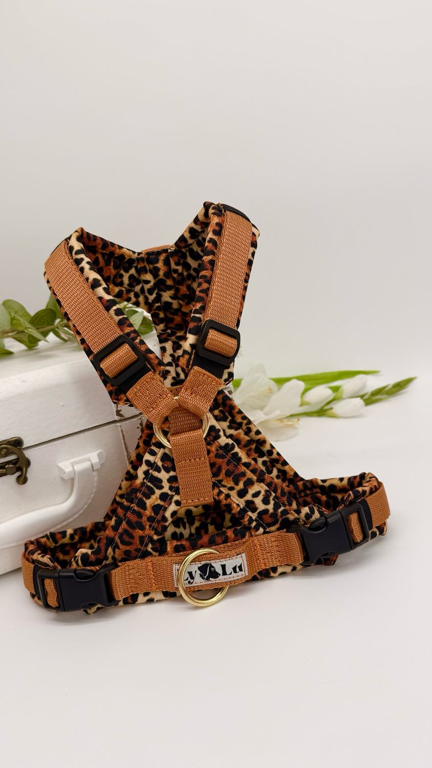 Hundegeschirr Basic X, Gr. S, Curry / Leo Hundegeschirr Basic X, Gr. S, Curry / Leo