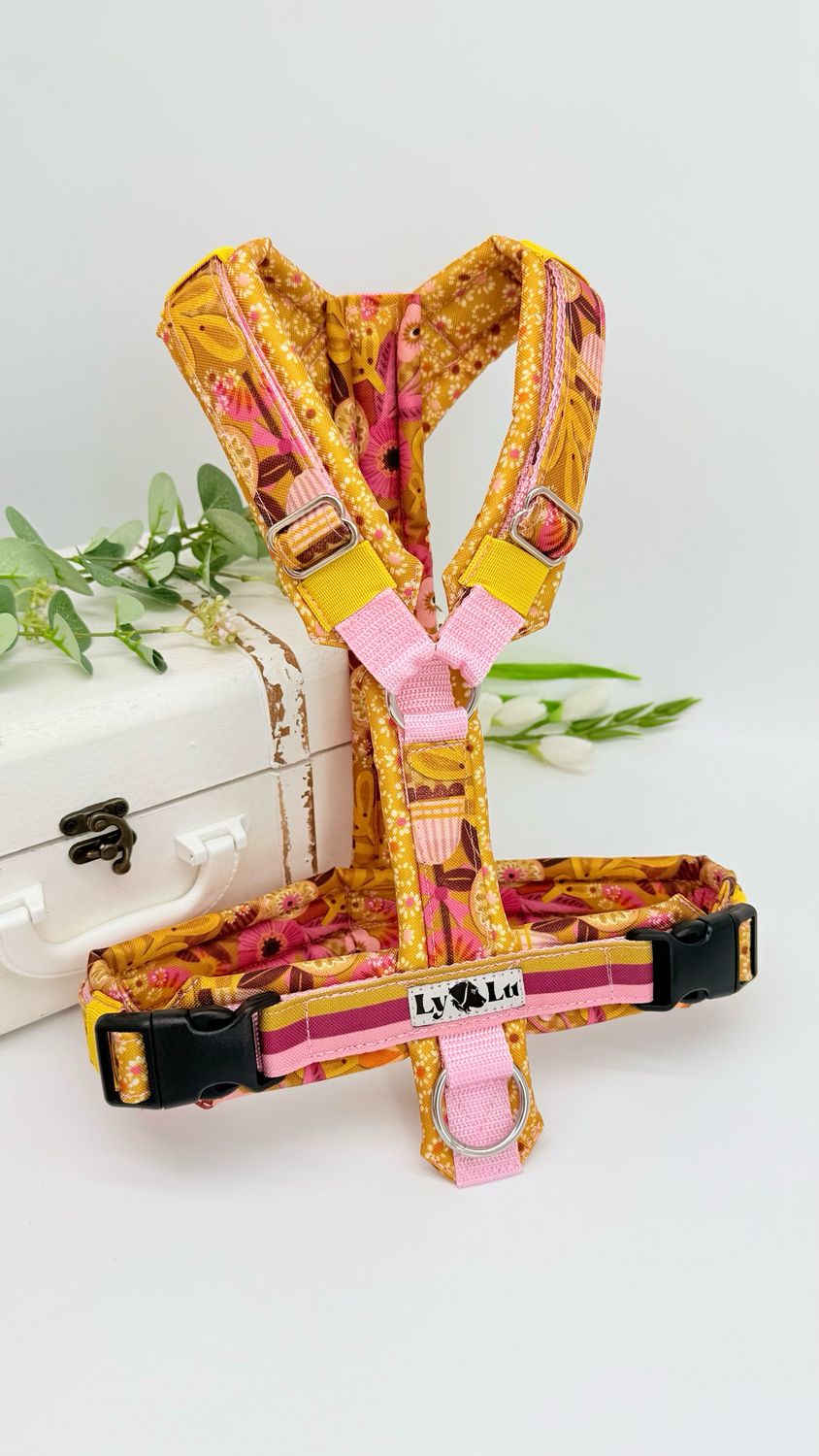 Hundegeschirr Premium Gr. M, Rosa /Peach Party Hundegeschirr Premium Gr. M, Rosa /Peach Party