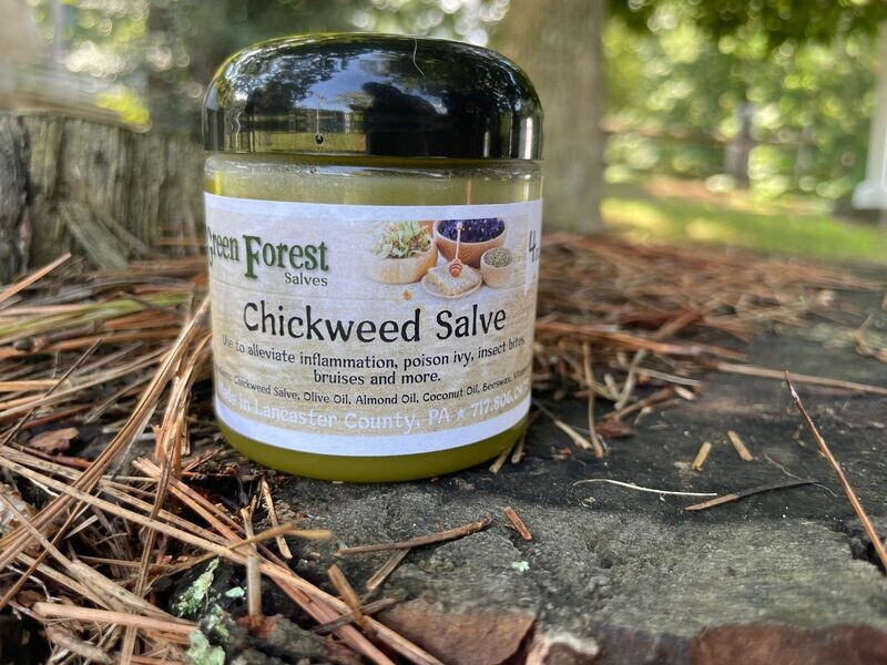 Chickweed Salve