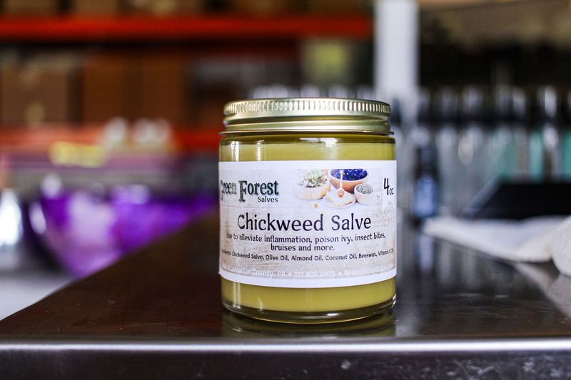 Use this Chickweed salve to help with inflammation, poison ivy, insect bites, bruises and more.

