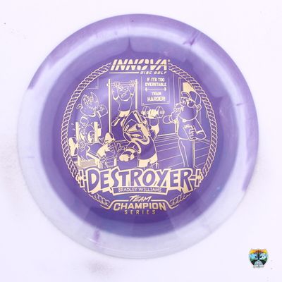 Innova Halo Star Destroyer 2026 Team Champion Tour Series Bradley Williams