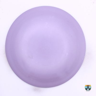 Trash Panda 100 Percent Recycled Procyon