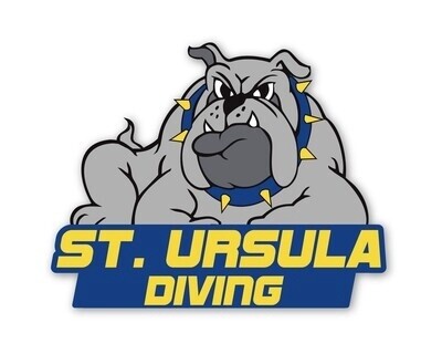 Diving Magnet