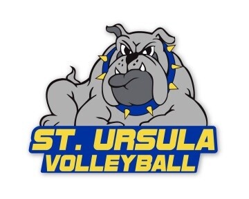 Volleyball Magnet