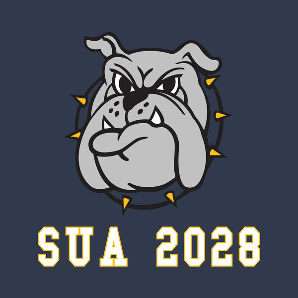 Class of 2028 Hoodie