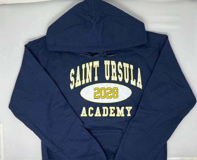 Class of 2028 Hoodie, Size: small