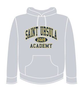 Class of 2029 Hoodie